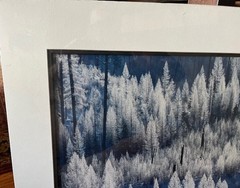 Carl R Sams – Limited Edition – Signed/Numbered – Winter Forest Landscape