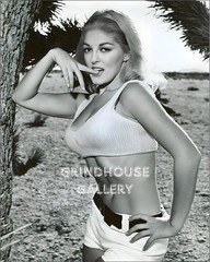 LORI WILLIAMS Faster Pussycat Kill Kill Actress Pin-Up Retro Art Photo Print #2