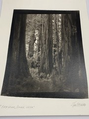Jim Fitzgerald First Grove Prairie Creek Signed Photograph Carbon Transfer