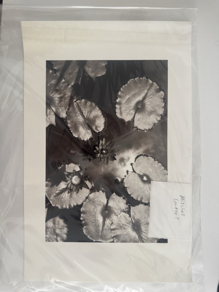 Mitchell Conner Black & White Floral Nature Portrait Photograph Unframed