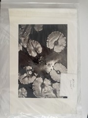 Mitchell Conner Black & White Floral Nature Portrait Photograph Unframed