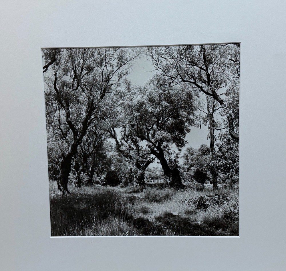 GERMAN PHOTOGRAPHER WILLY MAYWALD – SIGNED, TITLED & DATED GELATIN SILVER PRINT