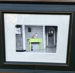 Jana Epstein Signed and Numbered Photo Art Framed – Sittin Pretty