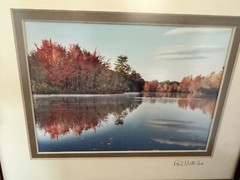 Signed Photo Framed Wall Art Fall Trees, Lake Country Photo Art
