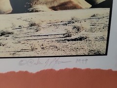 Painted Hills Oregon Photograph Signed Matted Vtg 1999 Nielsen Frame READ