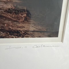 Vintage Bill Coleman Signed Numbered Matted No 576 27/400 Amos’ Barn Photograph