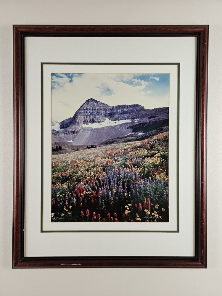Signed Limited Edition Aaron Goldenberg 35mm Art Photograph, Utah 39×24 Framed