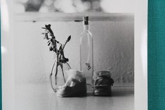 Vintage Photo Art Metamorphosis Aquatic Nymph 9/35 By Rebecca Gallagher 4/96