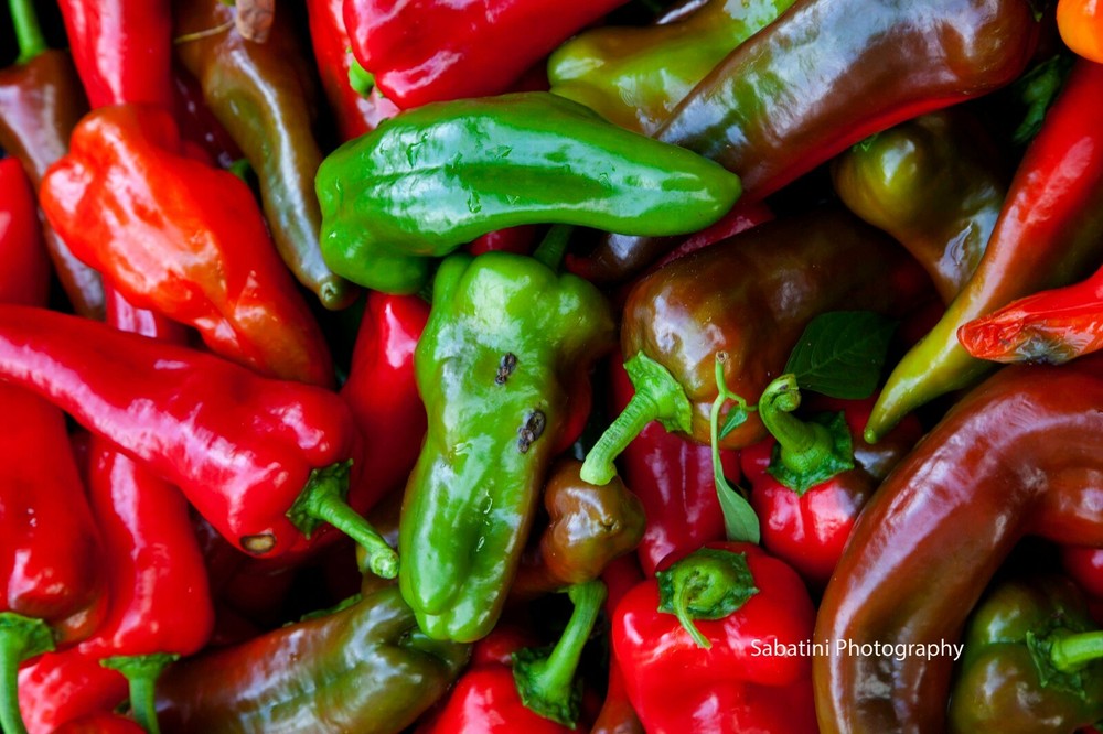 Red & Green Peppers, 11 x 14 Print Metallic Paper