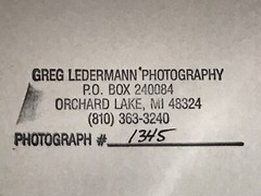 Original Photography of Birds Signed Greg Ledermann Cardinal Blue Jay Goldfinch