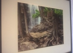 Jay Anderson Photograph Minnesota Gooseberry Falls Framed Art Forest Waterfall
