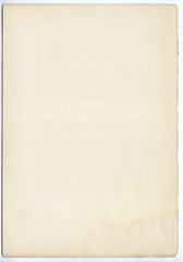 Botticelli Thomas Dewing Halftone Gravure Print frm Alfred Stieglitz Camera Work