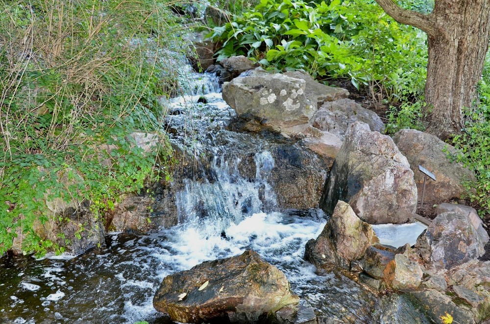 Chicago Botanic Garden Waterfall original signed Giclee photograph by Arnold