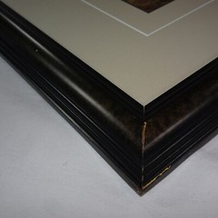 THOMAS MANGELSEN SIGNED 1994 SECRETS OF THE SAVANNAH LE 118/950 10X14 IMAGE FRM