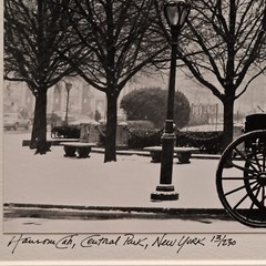 RICHARD CALVO Original Vintage Signed Central Park NY Horse Carriage Photograph