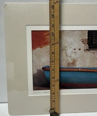 John And Debora Scanlan AP Italy Cat Photograph Print With COA Signed Numbered