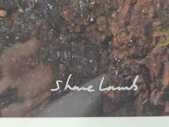 Shane Lamb Red Rock Rams Dall Sheep Signed Photo Denali Polychrome Pass Art AP