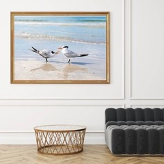 Birds on the Beach Photo, Siesta Key Photography Wall Art Beach House, Wildlife