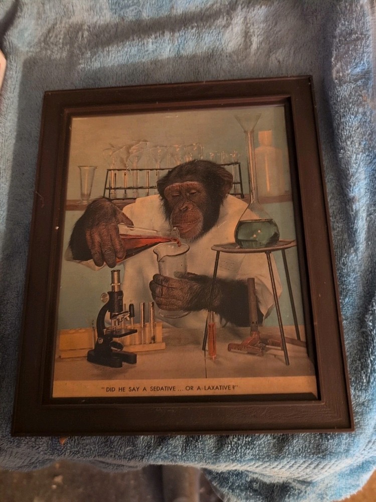 Vintage 9×12 Monkey Picture Plastic Frame No Glass