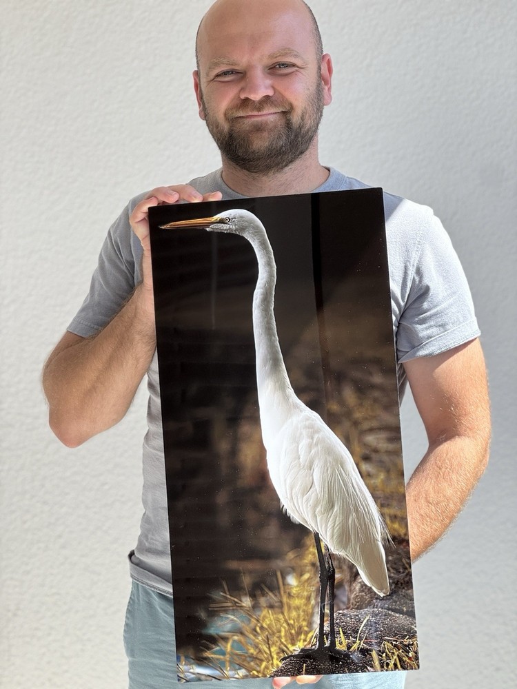 LIMITED EDITION Fine Art Photo Print – Crane | Metal | Nature Wildlife | 1 of 1