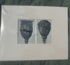 Karl Blossfeldt Vintage Botanical Photogravure, Poppies. Matted