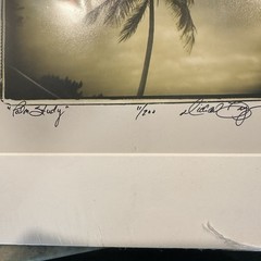 Limited edition sepia photographic print titled Palm Study by Michael Bryant