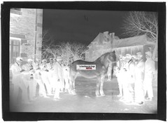 Old Black And White Photo Glass Plate Negative 13X18 Cm Agricultural School
