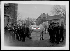 Old Black And White Photo Glass Plate Negative 13X18 Cm Agricultural School
