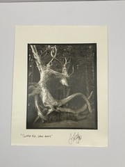 Jim Fitzgerald Twisted Elk Shore Acres Signed Photograph Carbon Transfer