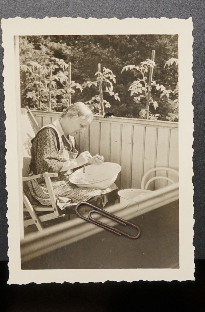 Photo Portrait Housewife Mother Gardening Enamel Bowl Tomato Plant Furniture