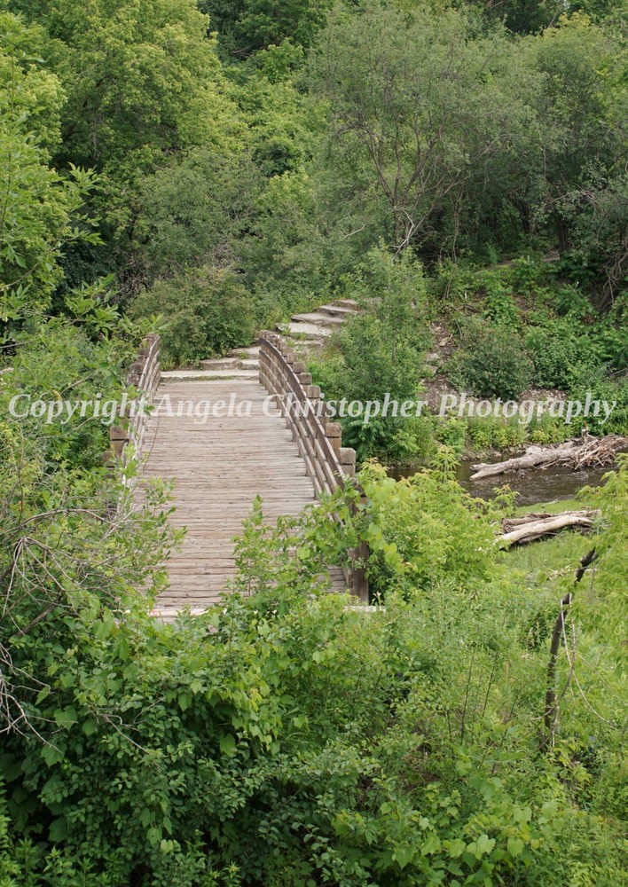 Original ACEO photo fine art print 2.5×3.5 inch HIDDEN BRIDGE wood trees nature