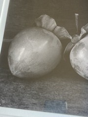 1991 John Youngblood Art Photo Black & White Mounted Photograph Still Life Fruit