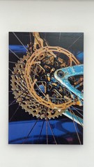 Ltd Edition Acrylic Mounted 3D Metallic Metal Fine Art Photograph Print NICE!