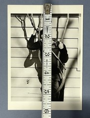 Dylan Thomas 1952 Fotofolio Art Print Card – Photo By Rollie McKenna 4.25”x6”