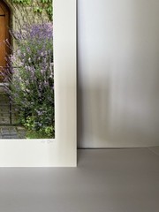Dennis Barloga Photography Print, “Lavender Cottage” England signed 14 x 11”