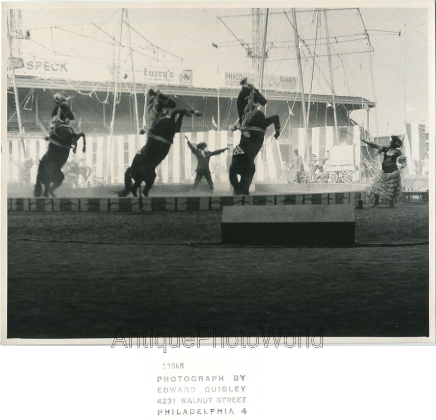 Circus animal trainer on stage w horses vintage art photo by Edward Quigley