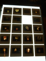 200pc Family & Professional 1990s Photo Slides Mountains Colorado Fireworks