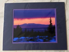 SIGNED THE LADY PHOTO BY TODD SALAT-8 X10 Matted 11X14