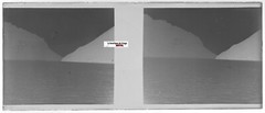 Landscape, Glass Photo Stereoscopic Plate, Black & White Negative 4.5×10.7 cm