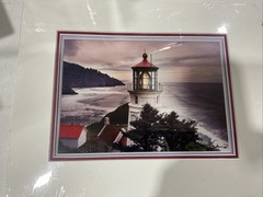 Gary Davis Photography Heceta Head Lighthouse Ocean Signed Matted