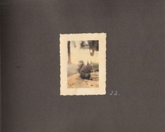Book: Unique Photo Album: A Fiddly Prison, Photo Album, Used, Good