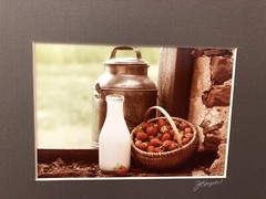J. Cooper Photographs Signed Pair Matted Farmhouse Decor Strawberry Milk Pitcher