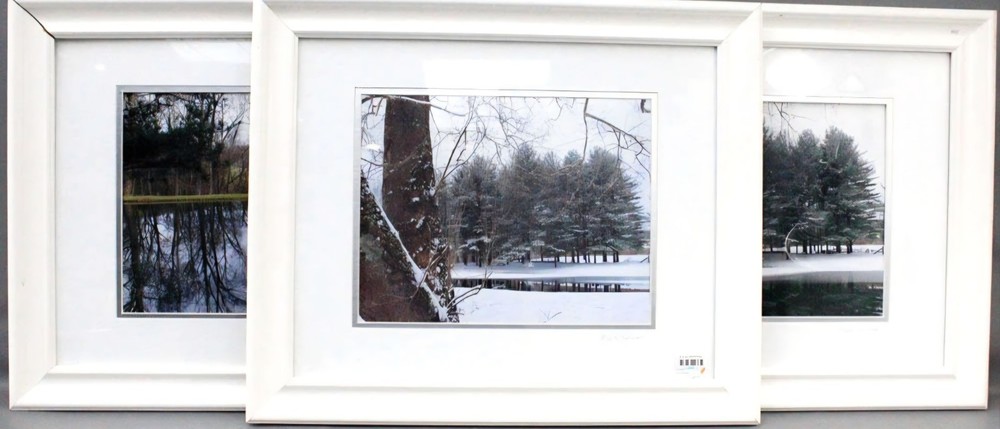 Mark Balcom Wolf (Massachusetts) “Winter Pines” Signed Photo Set of 3