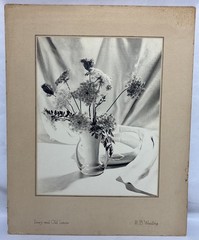 Vintage 1952 Original H.B Woodling “Ivory & Old Lace” Still Life Photograph