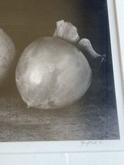 1991 John Youngblood Art Photo Black & White Mounted Photograph Still Life Fruit