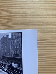 ESTATE STAMPED LEONARD FREED NEW YORK CITY ‘DOVES’ 1956 LTD 6 x 6 MAGNUM PRINT