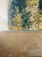 H.L. Standley hand tinted Photo PIKES PEAK