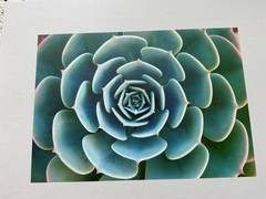 Art Photos on Card Stock. 8×10 ready to frame. Lot of 8 pieces, various themes.