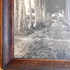 Vintage Framed Sepia Photograph – Historic Coconut Palm Plantation Avenue 17×11