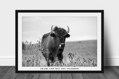 Buffalo Photography Print – Black and White Picture of Bison in Oklahoma
